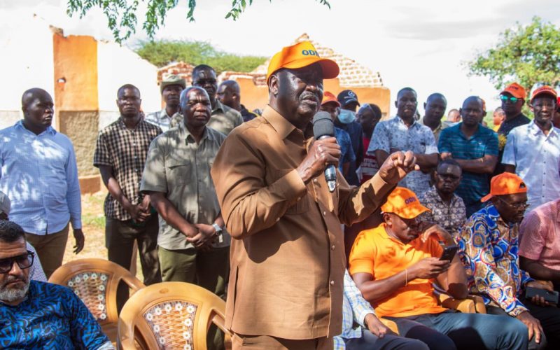 Raila Odinga addressing a meeting in Taita Taveta on Friday January 26, 2024. PHOTO/X (@TheODMparty)