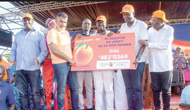 Raila tells elected leaders to stop bickering, deliver on poll pledges
