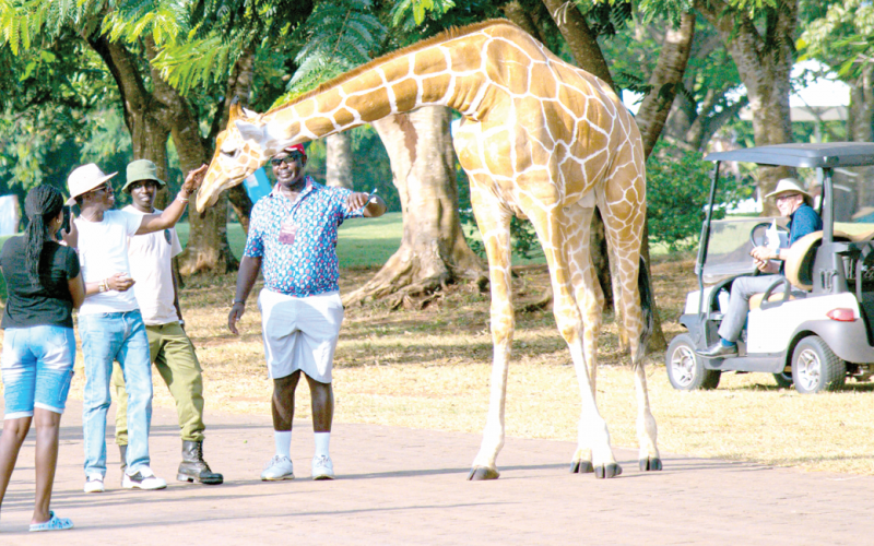 Sports CS Ababu Namwamba (left) touches a giraffe’s nose at the Baobab Ridge Golf Course in Vipingo during the third round of the 2024 Magical Kenya Ladies Open.. PHOTO/MKLO