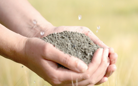 Soil set for testing. PHOTO/Print