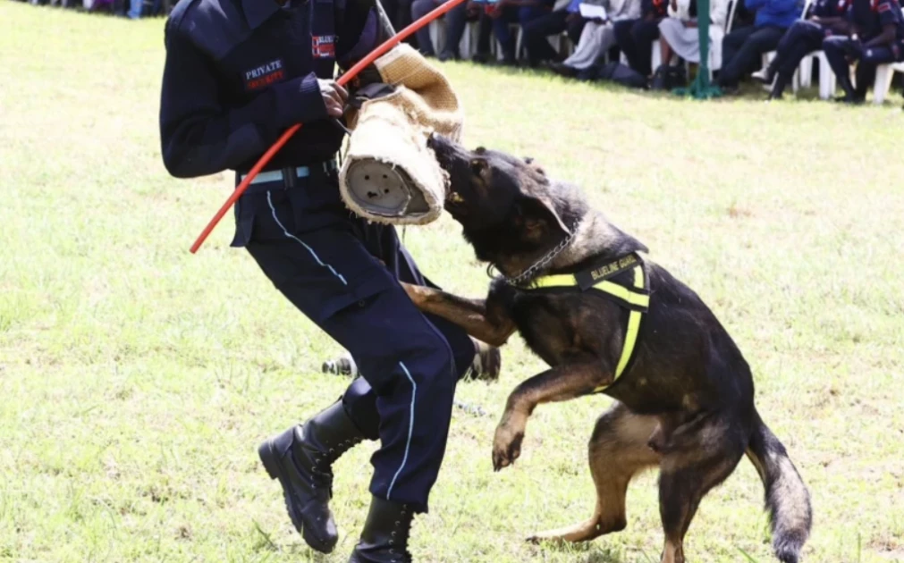 Strike a balance on security guards pay