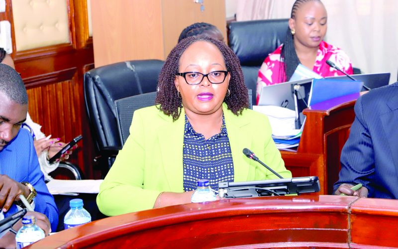 Council of Governors chairperson Anne Waiguru before a Senate’s standing committee on Finance and Budget in Nairobi, yesterday. PHOTO/K/kenna claude.
