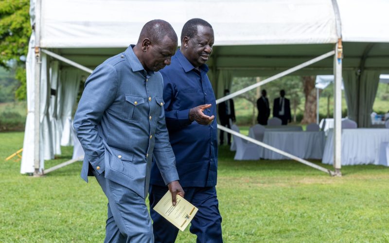 President William Ruto With Raila Odinga