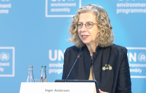 Put politics aside and focus on environment, governments told