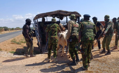 Police recover 18 heads of cattle, firearm in Samburu