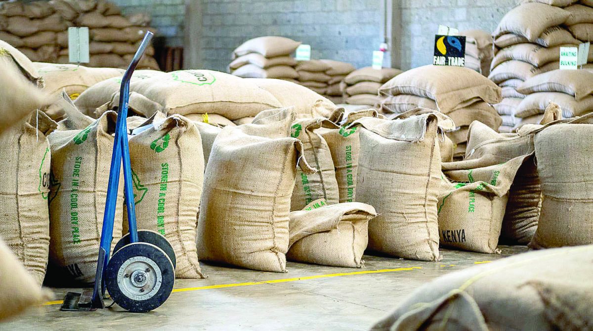 Coffee auction remains buoyant despite 23pc drop in earnings