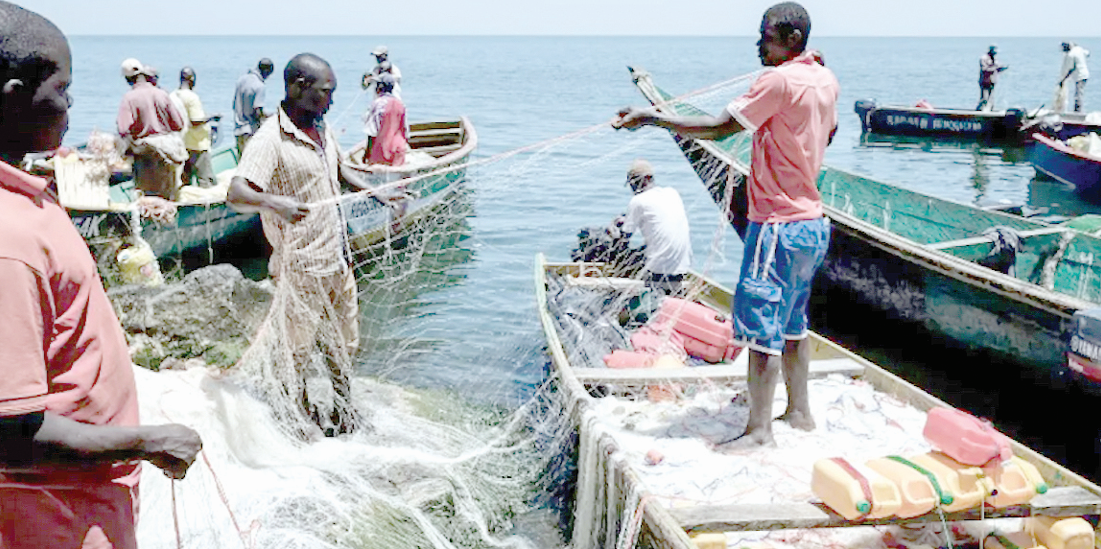 Alarm over increased deaths of fishermen in Lake Victoria