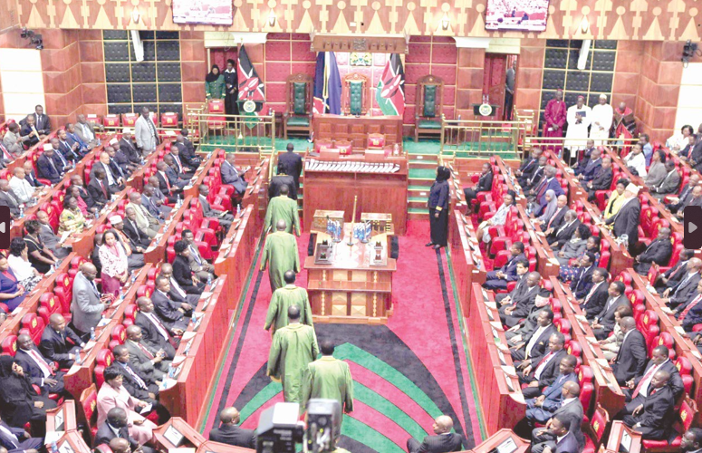 National Assembly in session. PHOTO/Print