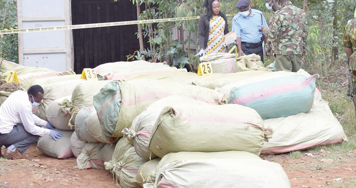 Three nabbed with Sh75,000 bhang