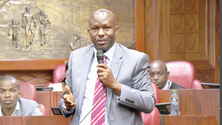 Ruto-allied senators pass housing law, snub Opposition amendments