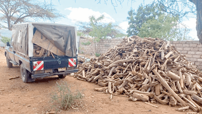 Police impound Sh12m worth of sandalwood