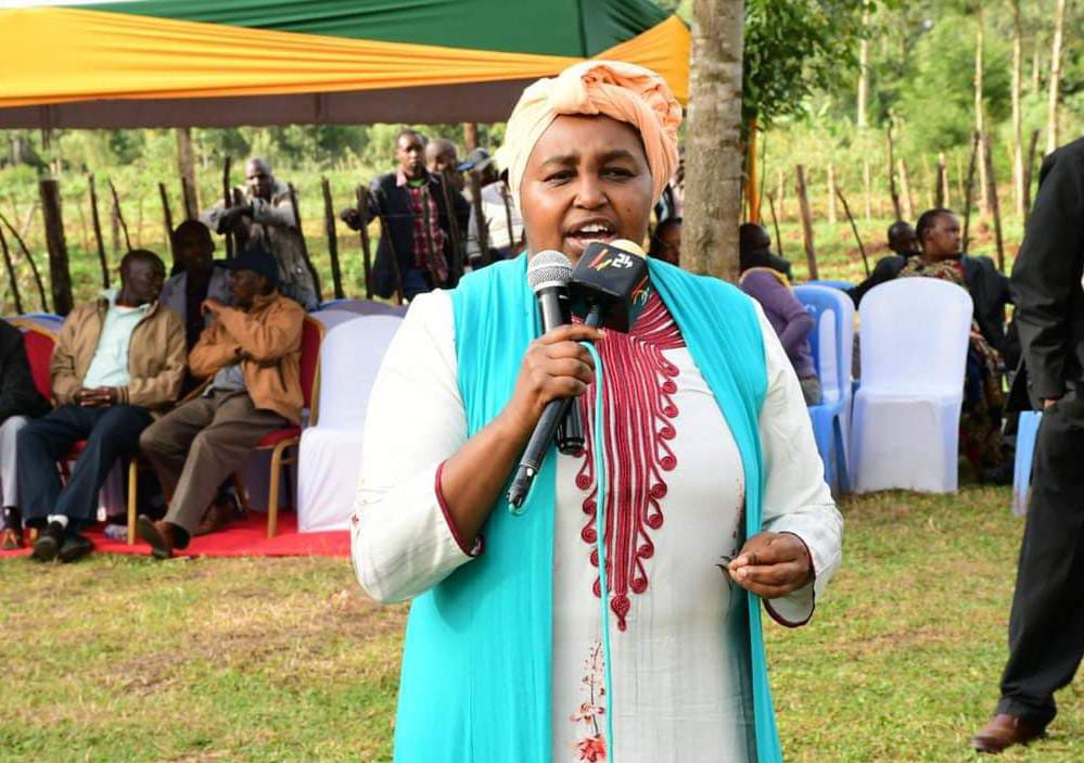 ‘Carry your own cross!’ – Maryanne Kitany tells off CS Linturi over fake fertiliser saga