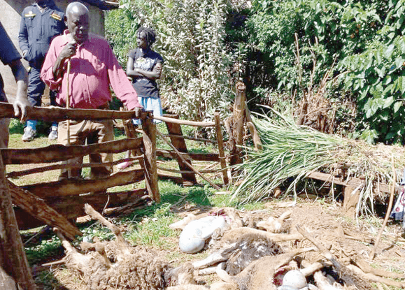 Alarm over Sh2b unpaid claims for wildlife conflicts