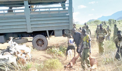 Ruto courts legal mine field over military deployment