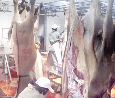 Stakeholders alarm over donkey meat
