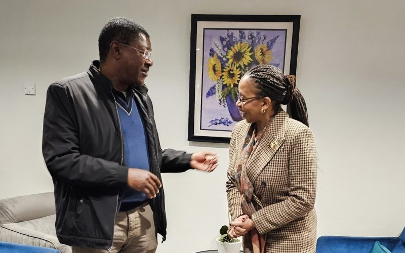 National Assembly speaker Moses Wetang'ula chats with Ambassador Irina when he visited Kenya-Ireland embassy. PHOTO/Moses Wetang'ula/X