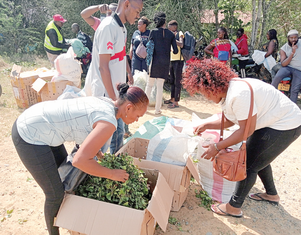 Violent scenes as opposing factions fight over muguka