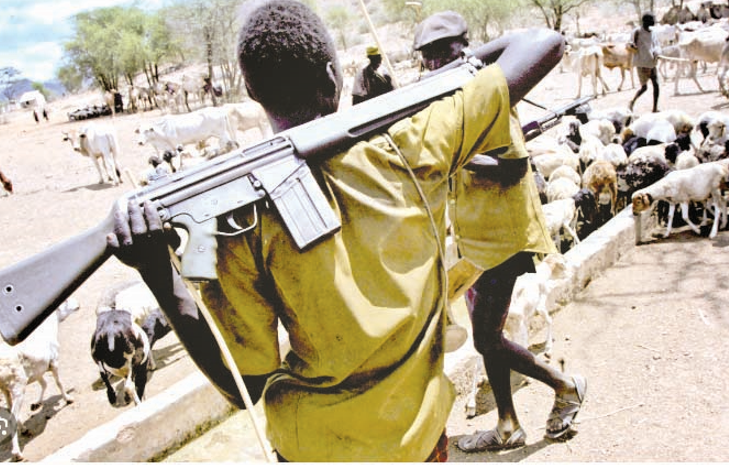 Stakeholders meet to find lasting solution to peace in Samburu