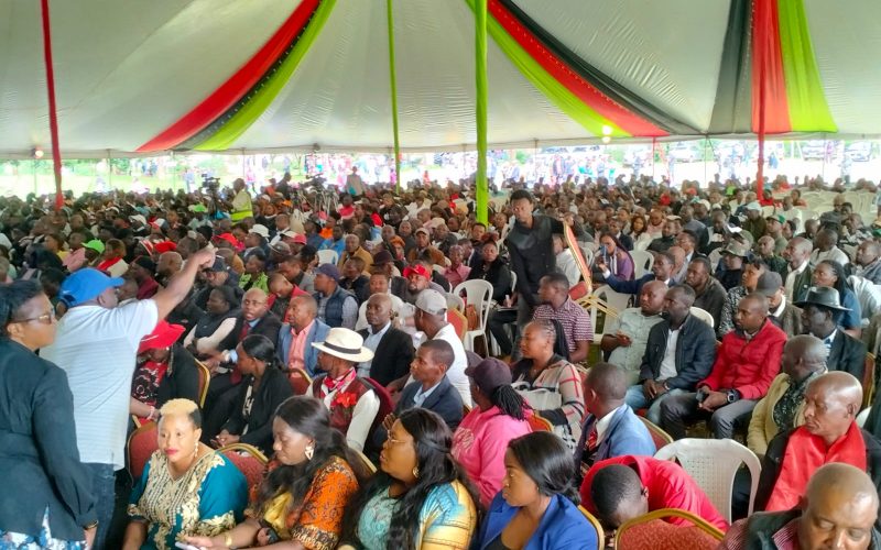 Mt Kenya delegates attending Limuru III conference
