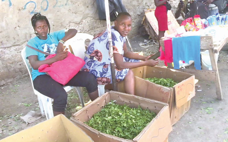 Muguka Traders at Kongowea Market in Mombasa recently. PHOTO/Bonny Msangi