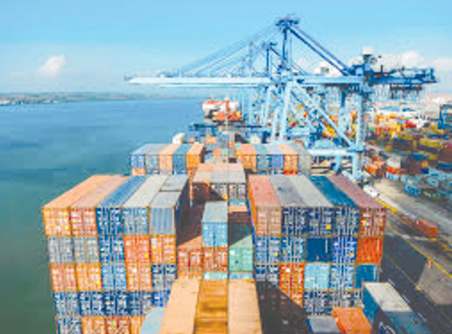 Red Sea saga trouble hits flower trade