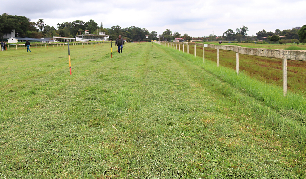 Koigi, Nzioka shine in Mwea National Reserve race