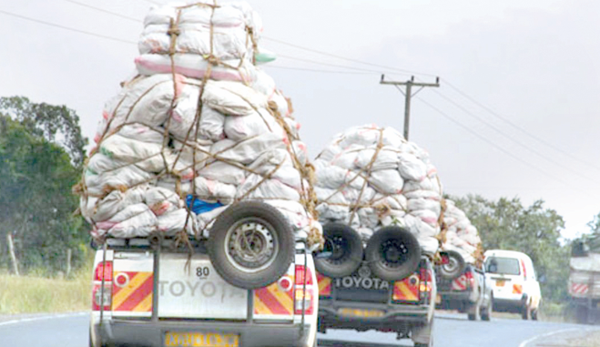 Kenya and Somalia agree to deepen ties in trade, investment