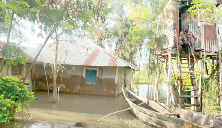 Flood victim now living in tree house