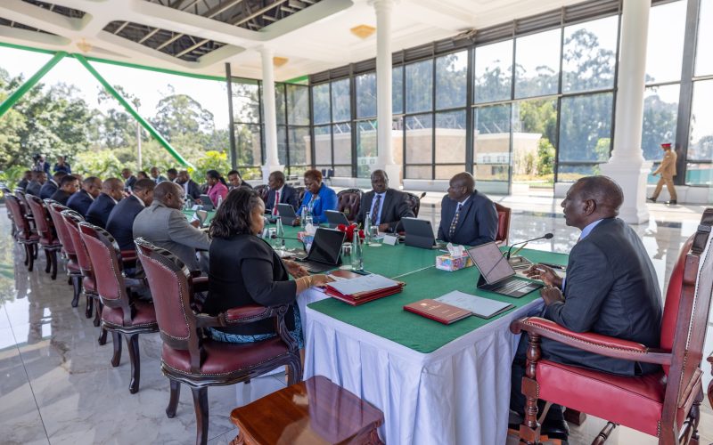 President William Ruto chairing a cabinet meeting on Tuesday, June 11, 2024. PHOTO/@HonAdenDuale/X