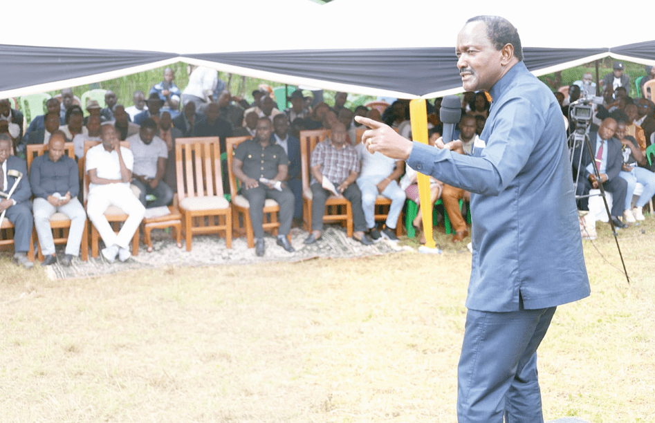 Opposition MPs will reject 2024 Finance Bill, vows Kalonzo