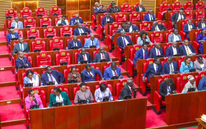 Members of the National Assembly during a past parliamentary session. PHOTO/Parliament of Kenya/Facebook