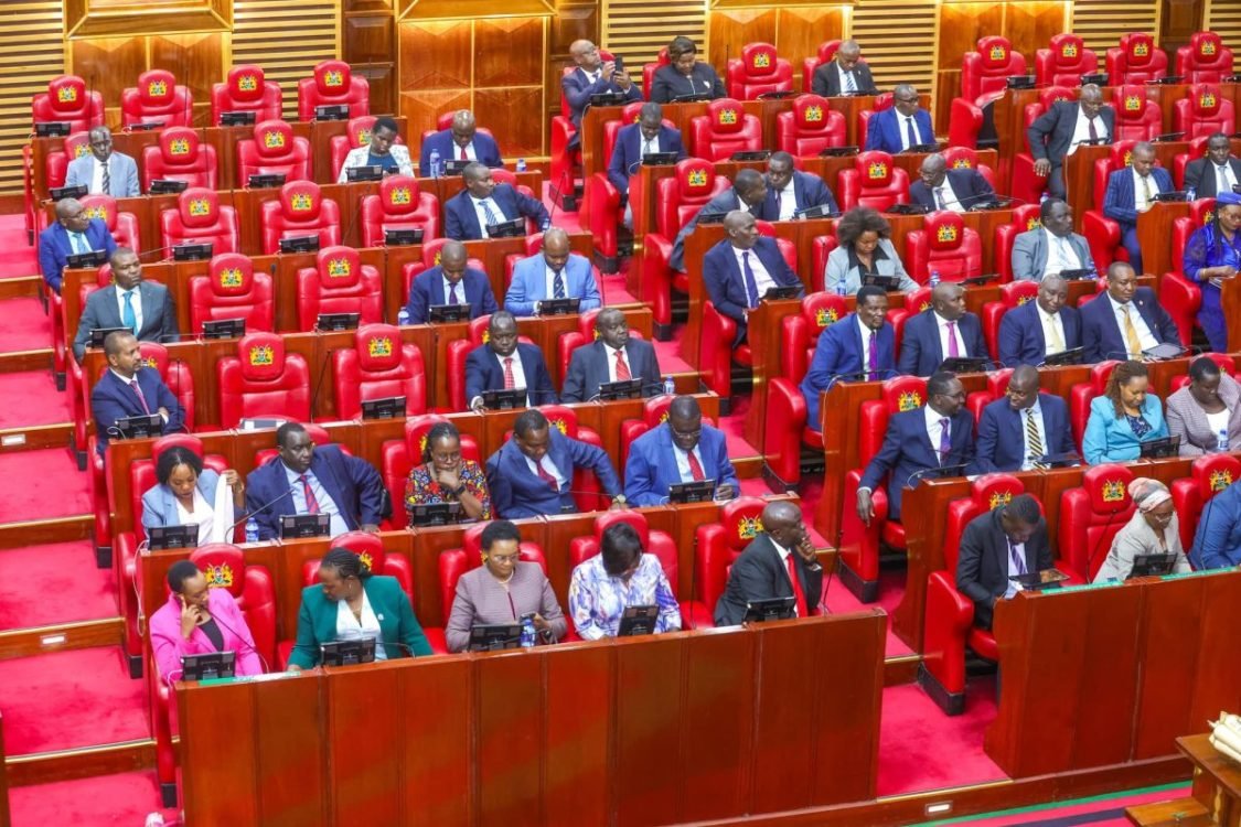 Members of the National Assembly during a past parliamentary session.
