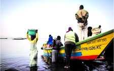 Fishers return after a night out working on Lake Victoria. PHOTO/The Conversation