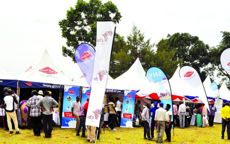 Farmers at exhibition stands at a past field day organised by Brookside Limited in Kazo, Western Uganda. PHOTO/Print