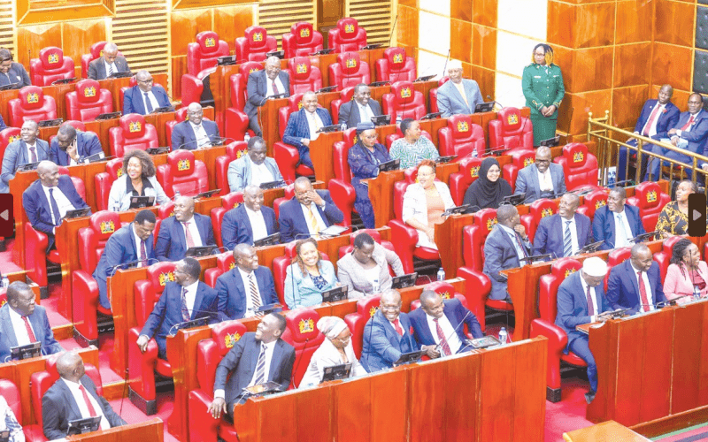 Kenyan Parliament. PHOTO/Kenna Claudde