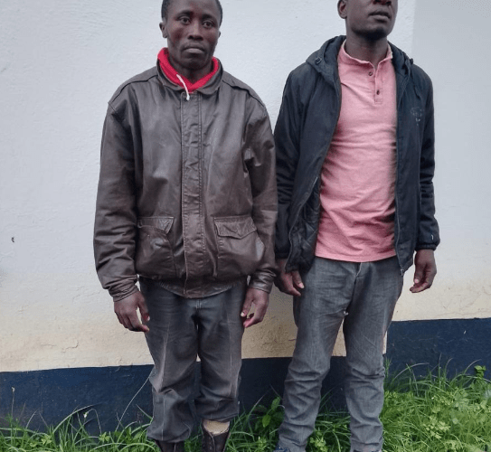 Samuel Okello and Antony Omingo arrested ferrying Bhang. PHOTO/@DCI_Kenya/X
