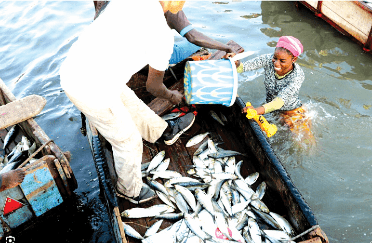 Ksh11b set aside for blue economy