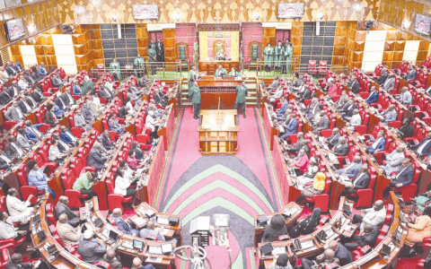 Members of the Parliament during a House session on June 6, 2024. PHOTO/Kenna Claude.