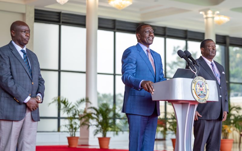 President William Ruto nominates 11 new Cabinet Secretaries at State House, July 19, 2024. PHOTO/@StateHouseKenya/X