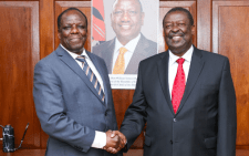 Prime Cabinet Secretary Musalia Mudavadi and former Orange Democratic Movement (ODM) deputy party leader Wycliffe Oparanya.