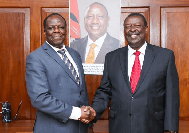 Prime Cabinet Secretary Musalia Mudavadi and former Orange Democratic Movement (ODM) deputy party leader Wycliffe Oparanya.