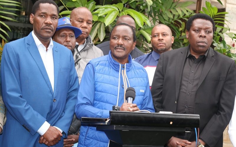 Wiper Party Chairman Kalonzo Musyoka speaks in Meru Town on Sunday, July 7, 2024. PHOTO/@TheWiperParty/X