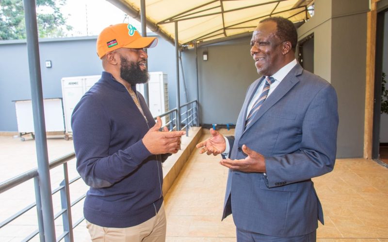 Ali Hassan Joho and Wycliffe Oparanya meeting on Wednesday, July 31, 2024. PHOTO/@TheODMparty/X