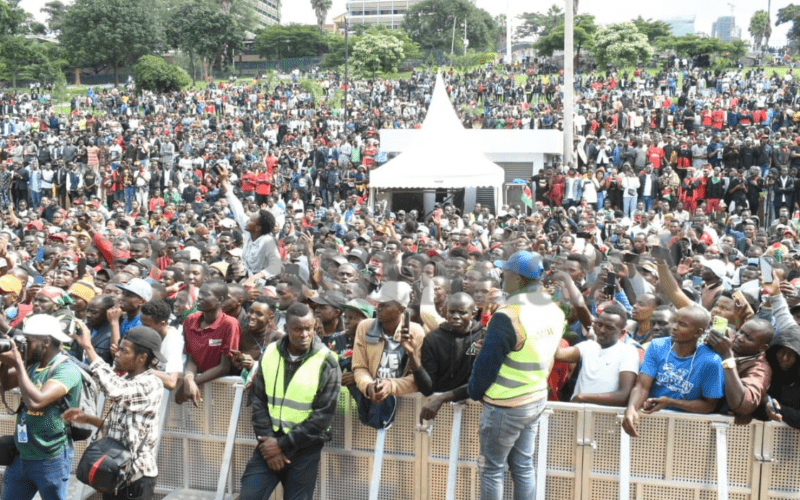 Gen Zs attending the Shujaaz memorial concert.