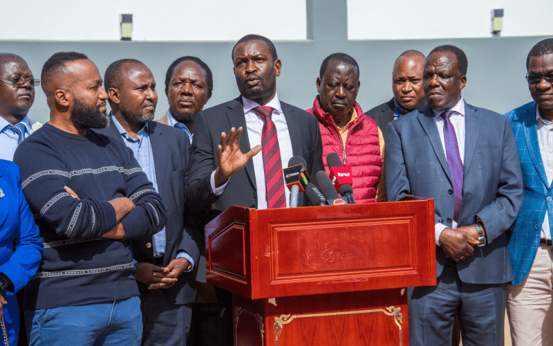 Nairobi Senator Edwin Sifuna, Raila Odinga and other ODM members. PHOTO/@TheODMparty/X