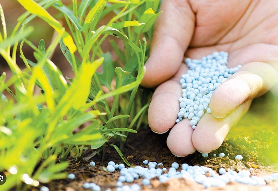 AGRA on the spot over use of chemical fertilisers