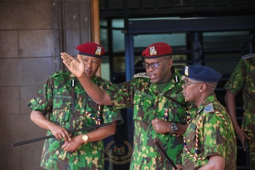 Acting Inspector General of Service Douglas Kanja Kirocho. PHOTO/@NPSOfficial_KE/X