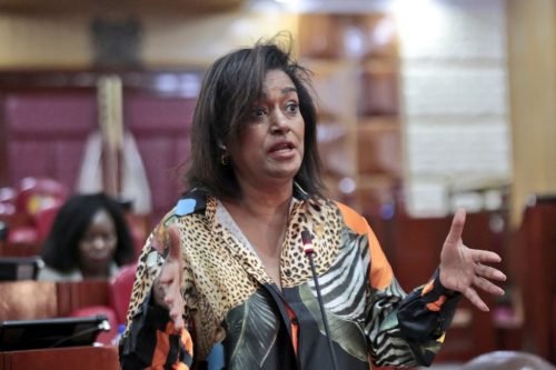 Nairobi Women Rep Esther Passaris during a session with Education Principal Secretary for State Department of Higher Education and Research Beatrice Muganda. PHOTO/@NAssemblyKE/X