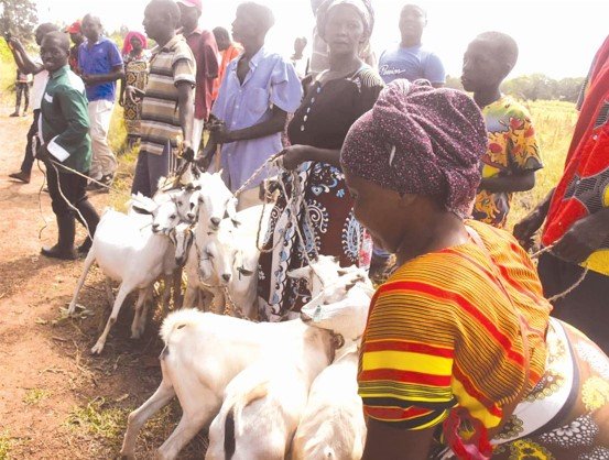 Kwale County chief hands goats to PWDs