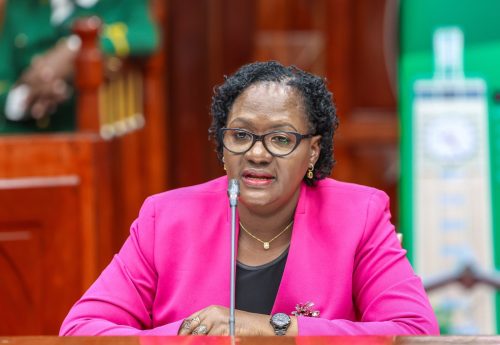 Rejected Gender CS nominee Stella Soi Lang'at when she faced the Committee on Appointments on Sunday, August 4, 2024. PHOTO/@NAssemblyKE/X